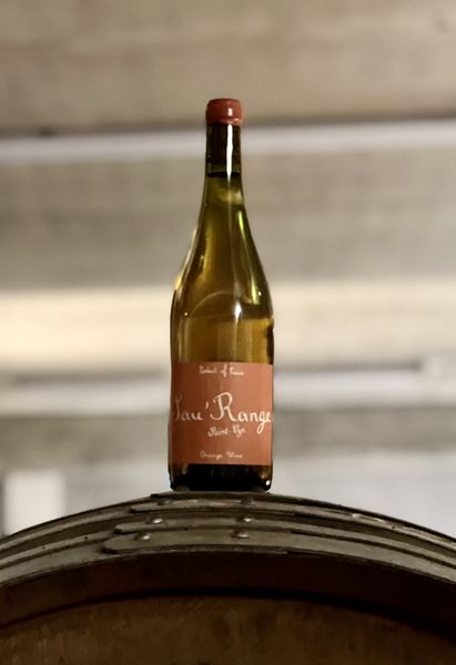 Domaine Saint-Cyr Sauvage Sauvignon Blanc 2021